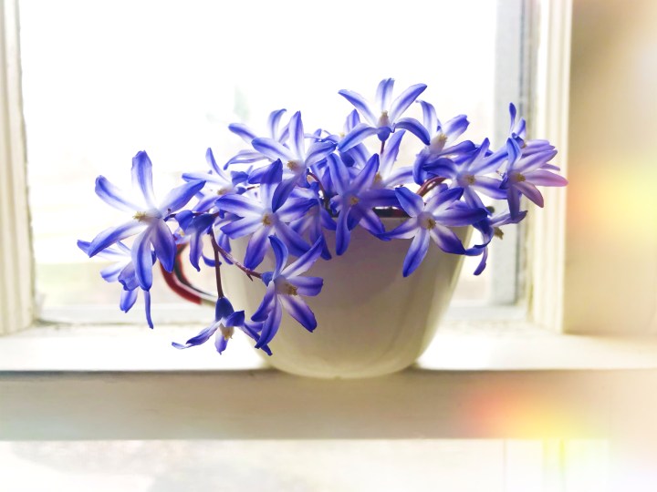 Thoughts on Living Simply and Slow&nbsp;Living.